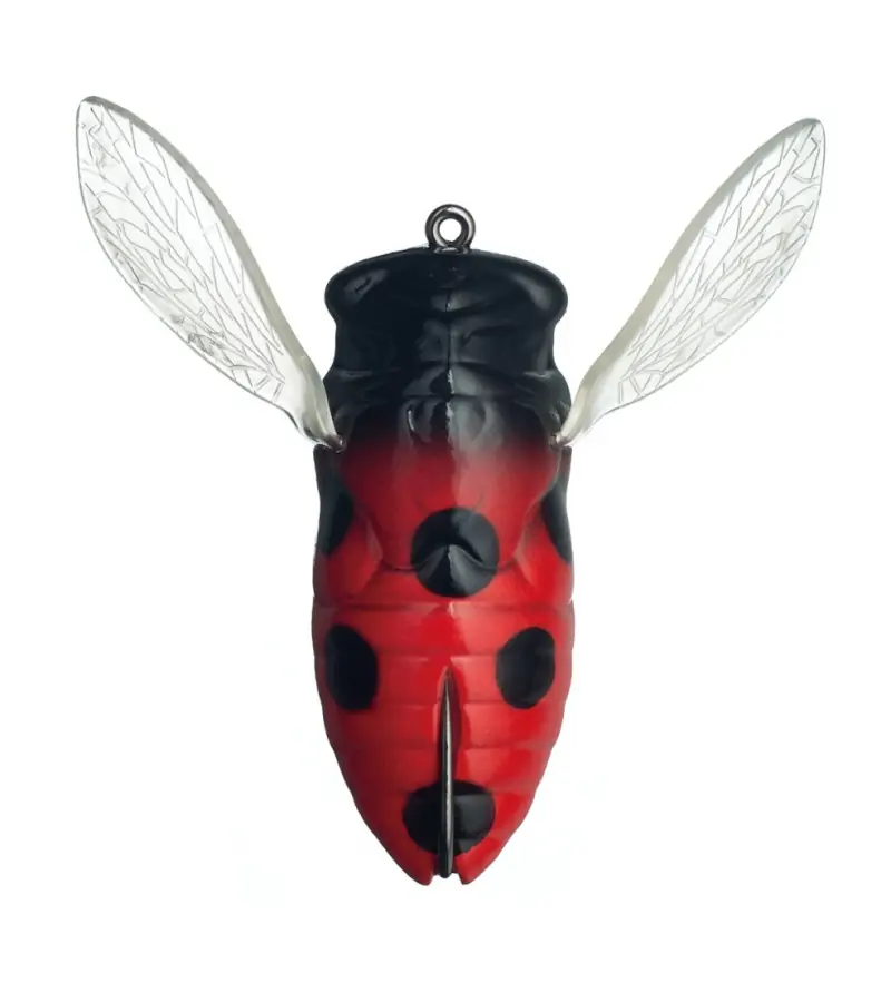 FISH ARROW COVER CICADA FISH ARROW COVER CICADA