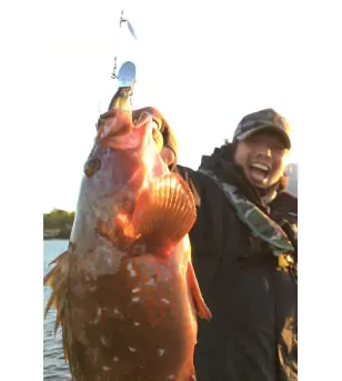 DECOY SV-34H S.G HEAD HEAVY Decoy
