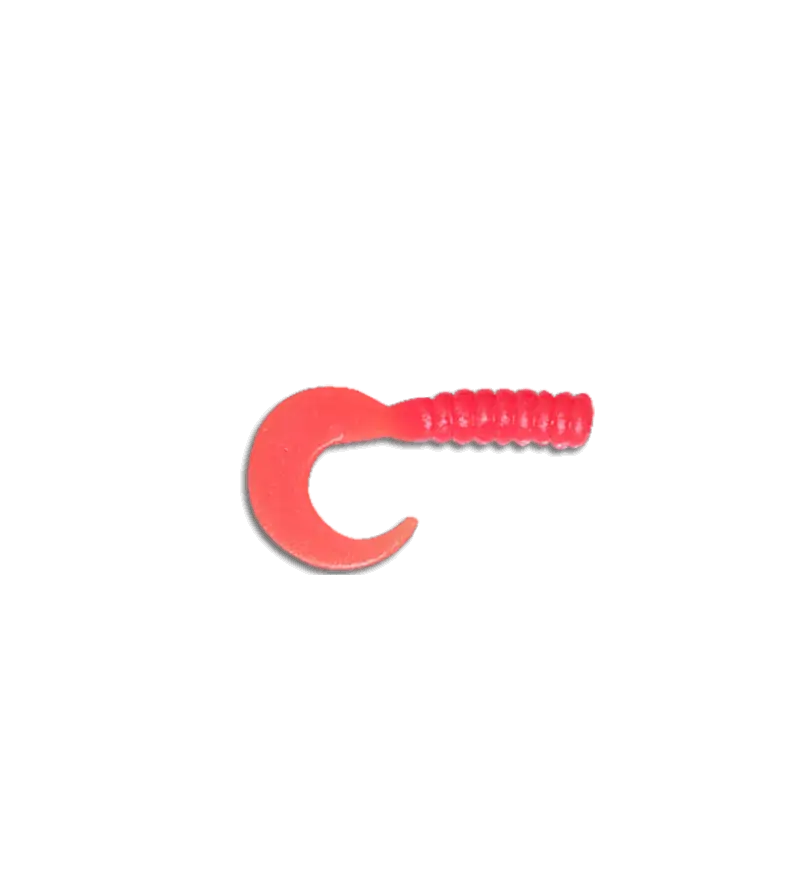 Delalande King Grub Delalande