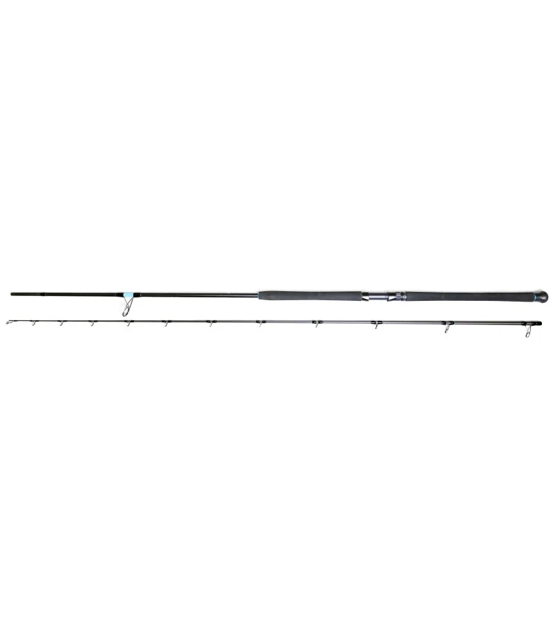 FAVORITE X1 SHORE JIGGING Favorite
