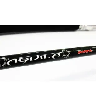 ARTICO AQUILA MARINA 50 LBS POPPING SERIES Artico ARTICO AQUILA MARINA 50 LBS POPPING SERIES Artico